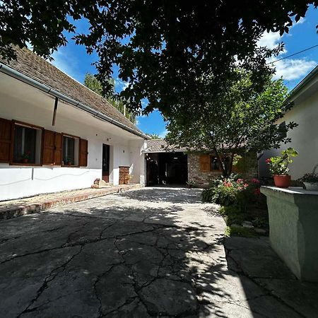 Oaza Mira Porodicna Kuca Za Opustanje Villa Апатин Екстериор снимка