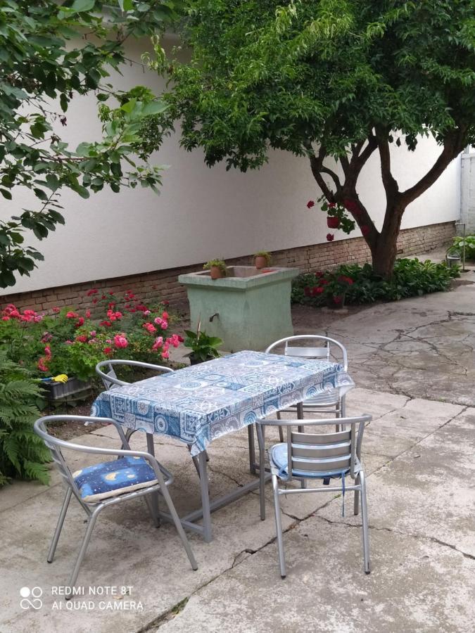 Oaza Mira Porodicna Kuca Za Opustanje Villa Апатин Екстериор снимка